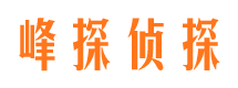 霍山婚外情调查